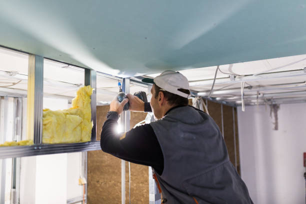 Best Insulation Maintenance and Repair in St James City, FL