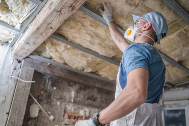 Best Eco-Friendly Insulation in St James City, FL
